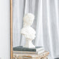 The Aurelia Mirror