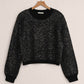 Z Supply - Gleam Sequin Sweater