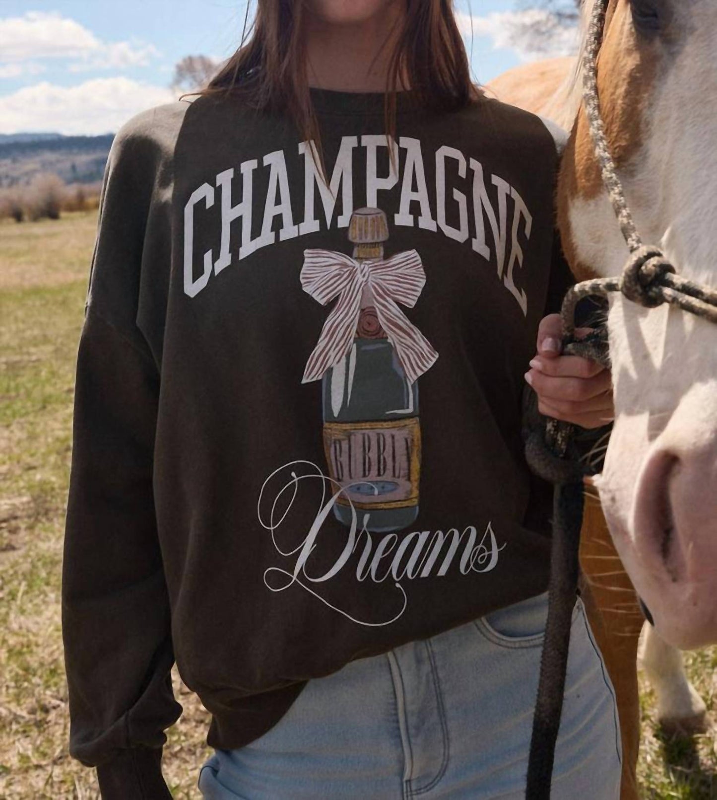 Z Supply - Dream Sunday Sweatshirt