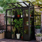 TOPMAX 78-inch Wooden Greenhouse Cold Frame with 4 Independent Skylights and 2 Folding Middle Shelves