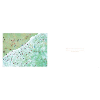 Abrams Books - Gray Malin Beaches Photograph Book