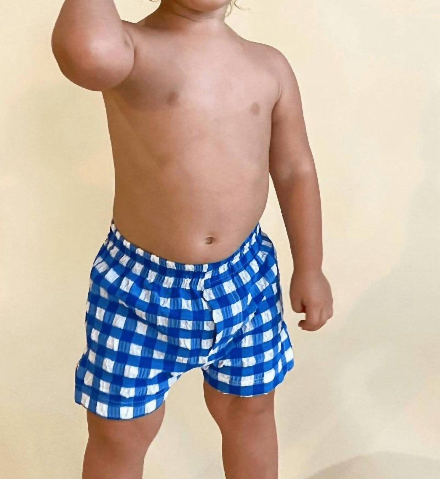 Montce - Boy's Gingham Mini Swim Trunk