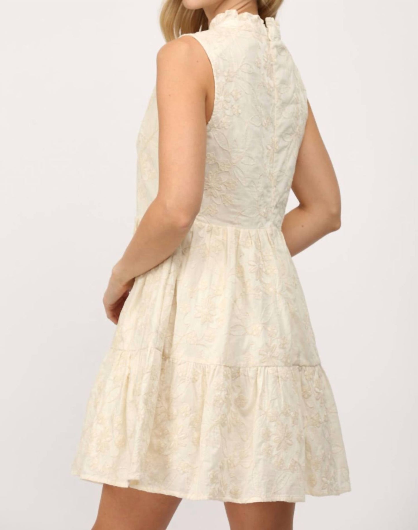 Fate - Ruffled Sleeveless Embroidered Dress