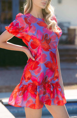 Hutch - Rayan Puff Sleeve Mini Dress