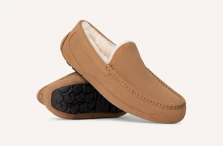 Ugg - Men Ascot Slipper