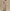 Varley - High Rise Wide Leg Pant