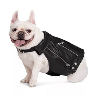 Blanknyc - Dog Moto Jacket
