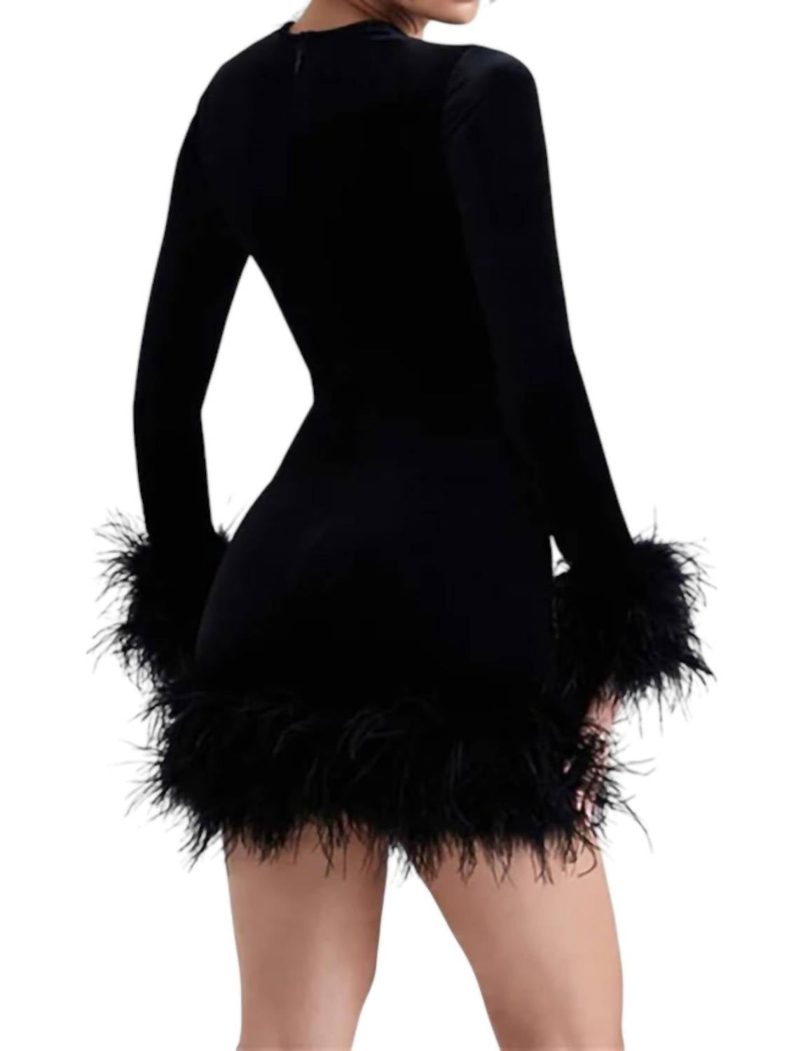 Blu Pepper - Round Neck Long Sleeve Feather Mini Dress