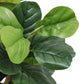 7FT Tall Artificial Banyan Tree Silk Plant – Large Faux Greenery