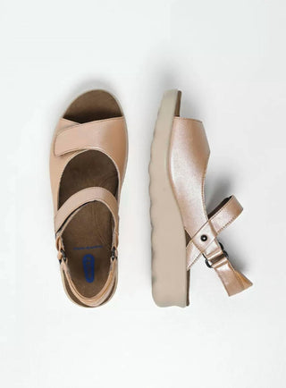 Wolky - Women's Pichu Sandal