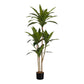 51" Tall Artificial Dracaena Tree