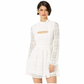 BCBGeneration Women's Peek a Boo Lace Dress White Size 2