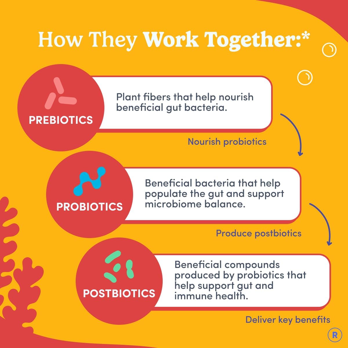 FIRST DAY Kids 3-in-1 Probiotic Gummies – Prebiotic + Probiotic + Postbiotic Supplement – Supports Digestive & Oral Health, Immune Function & Energy Levels – 30-Day Supply