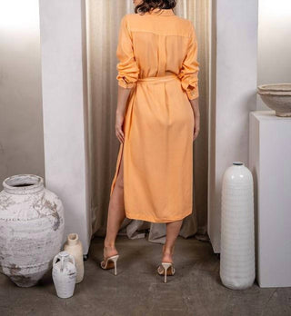 Paparazzi - Tencel Slub Long Sleeve Shirt Dress