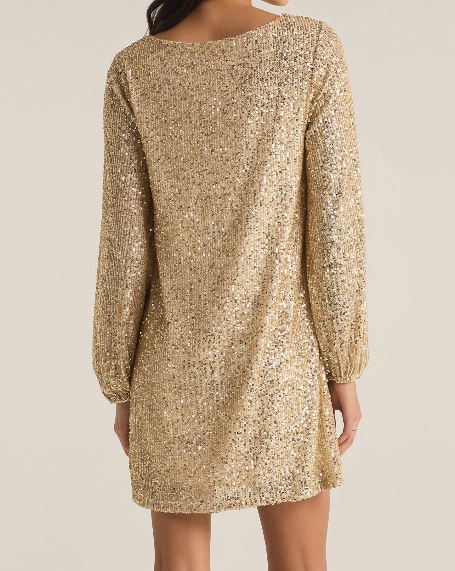 Z Supply - Andromeda Sequin Mini Dress