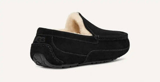 Ugg - Men Ascot Slipper