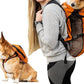 K9 Sport Sack - Walk-on | Lightweight & Packable Dog Carrier With Harness & Storage