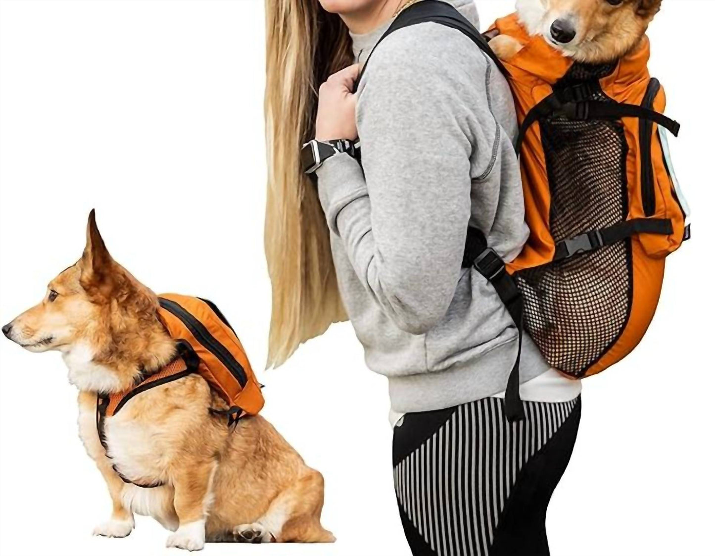 K9 Sport Sack - Walk-on | Lightweight & Packable Dog Carrier With Harness & Storage