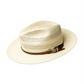 Bailey Of Hollywood Men's Ezra Panama Straw Hat Brown Size Regular