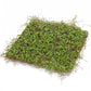 Lifelike Moss Display Mat (Set of 12)