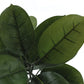 52" Tall Artificial Rubber Tree Plant - Indoor Faux Greenery