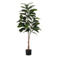 52" Tall Artificial Rubber Tree Plant - Indoor Faux Greenery