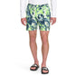 The North Face Men's Printed Class V Pull On Short Green Size Large
