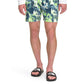 The North Face Men's Printed Class V Pull On Short Green Size Large