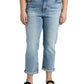 Silver Jeans Co. Women's High Waist Ankle Slim Boyfriend Jeans Blue Size 18W