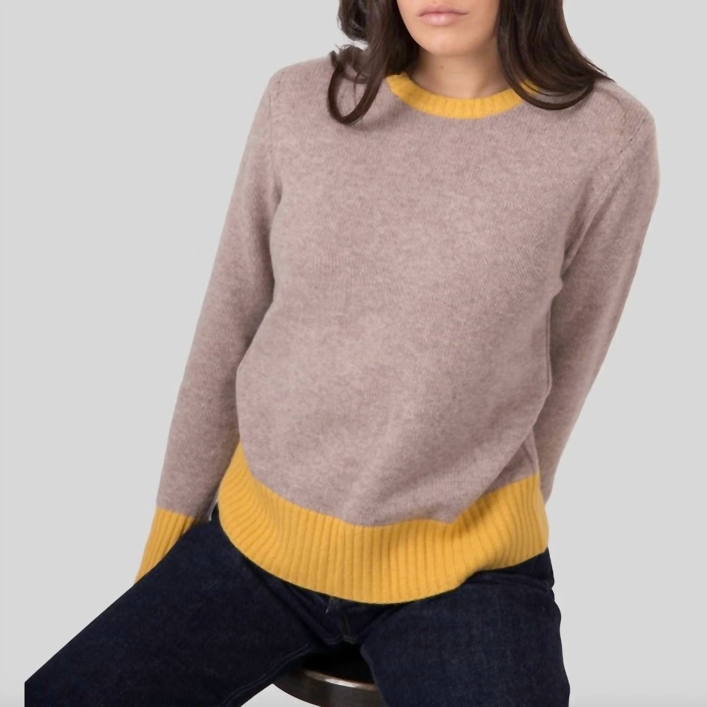 Absolut Cashmere - Alessandra Crewneck Sweater