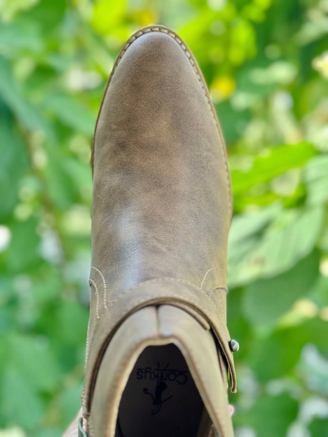 Corkys Footwear - Women's Fed Up Ankle Bootie