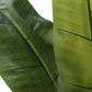 55" Tall Artificial Banana Tree Plant