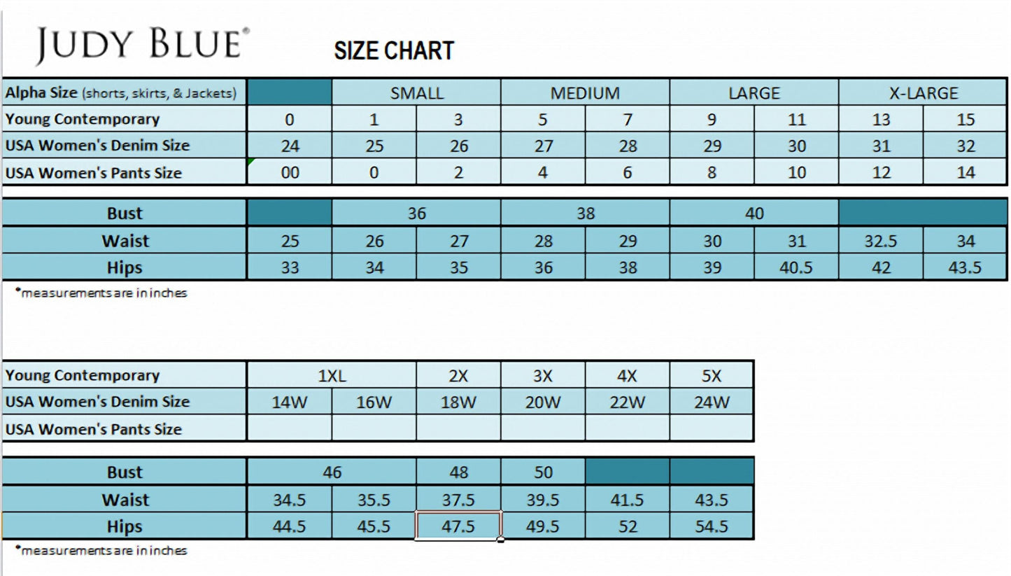 Judy Blue - High Waist Dandelion Embroidery Skinny Denim Jeans