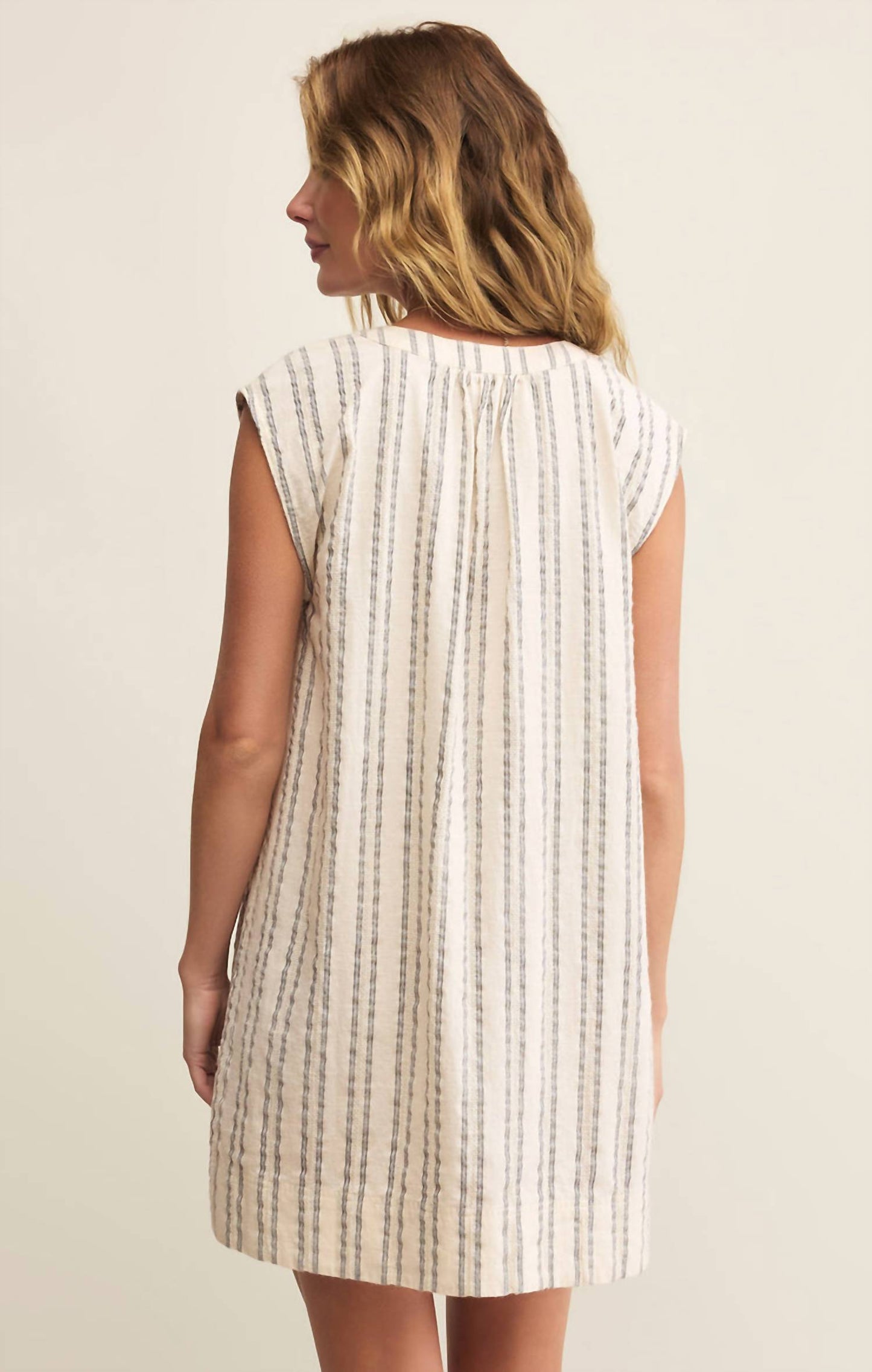 Z Supply - Minna Stripe Dress