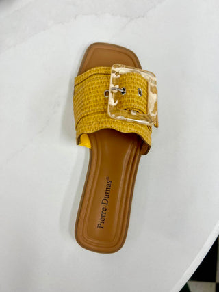 Pierre Dumas - Emy-1