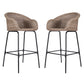 Ladd Outdoor Metal Wicker Barstool Set of 2
