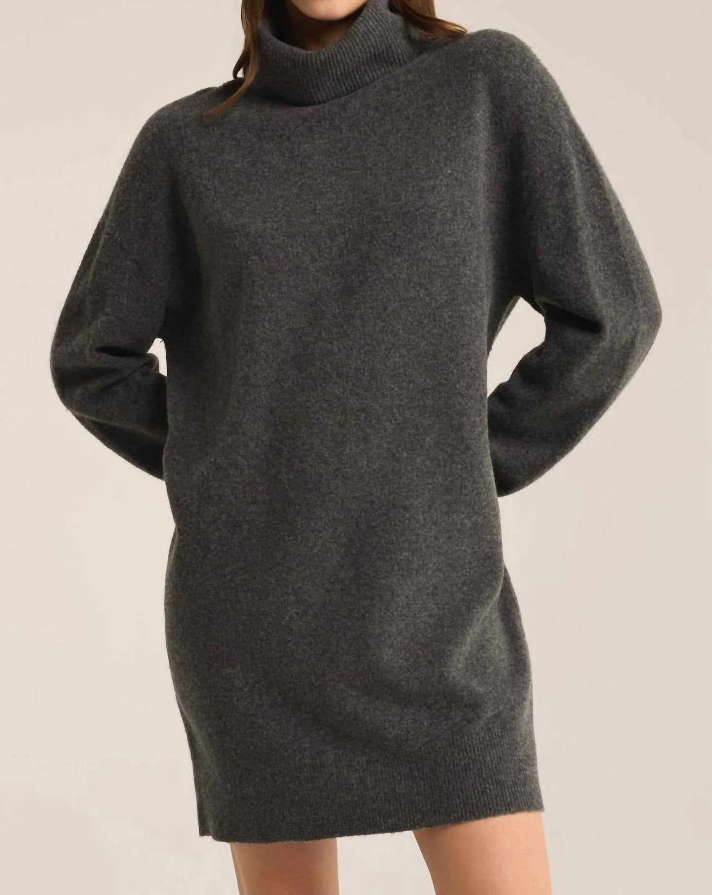 Z Supply - Richie Sweater Dress