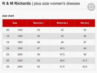 R&M RICHARDS Women's Silver Sequined Dress Size Plus 16W