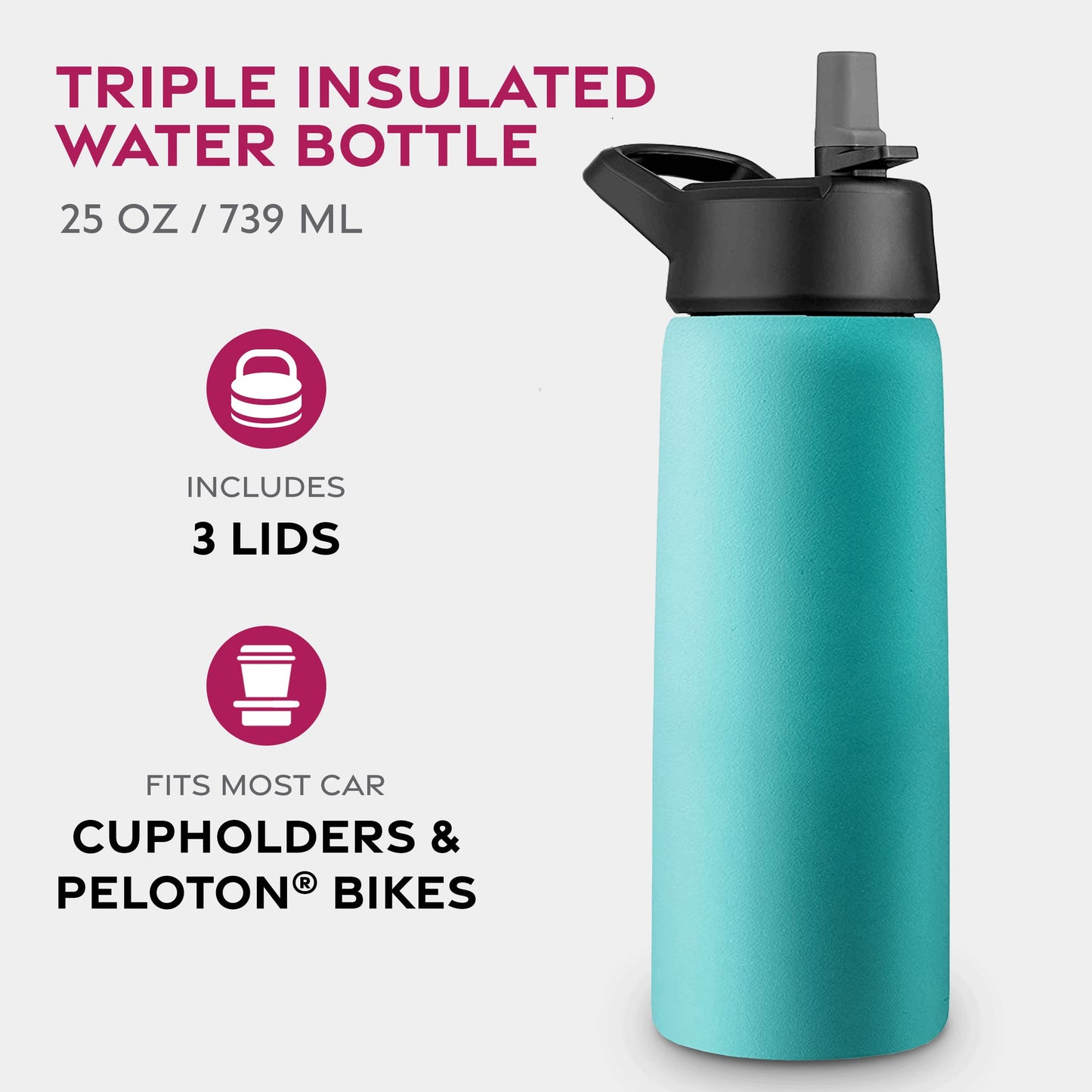Insulated Sports Water Bottle with Straw