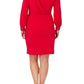 Adrianna Papell - Long Sleeve Draped Jersey With Beaded Cuffs Dress - Plus