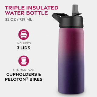 Insulated Sports Water Bottle with Straw