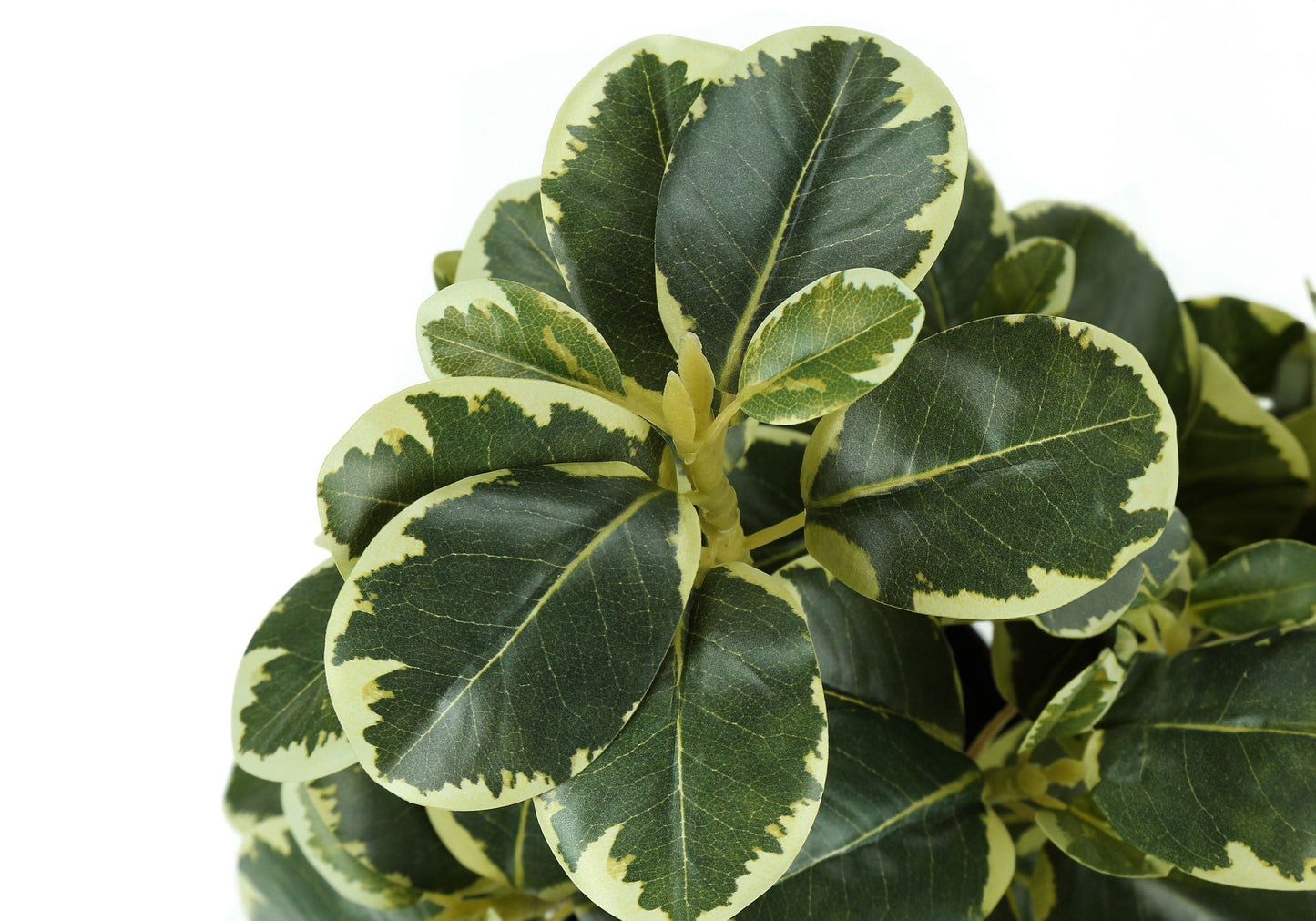 14" Tall Artificial Ficus Plant Set of 2