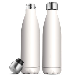 Triple-Insulated Stainless Steel Water Bottle - 2 Pack