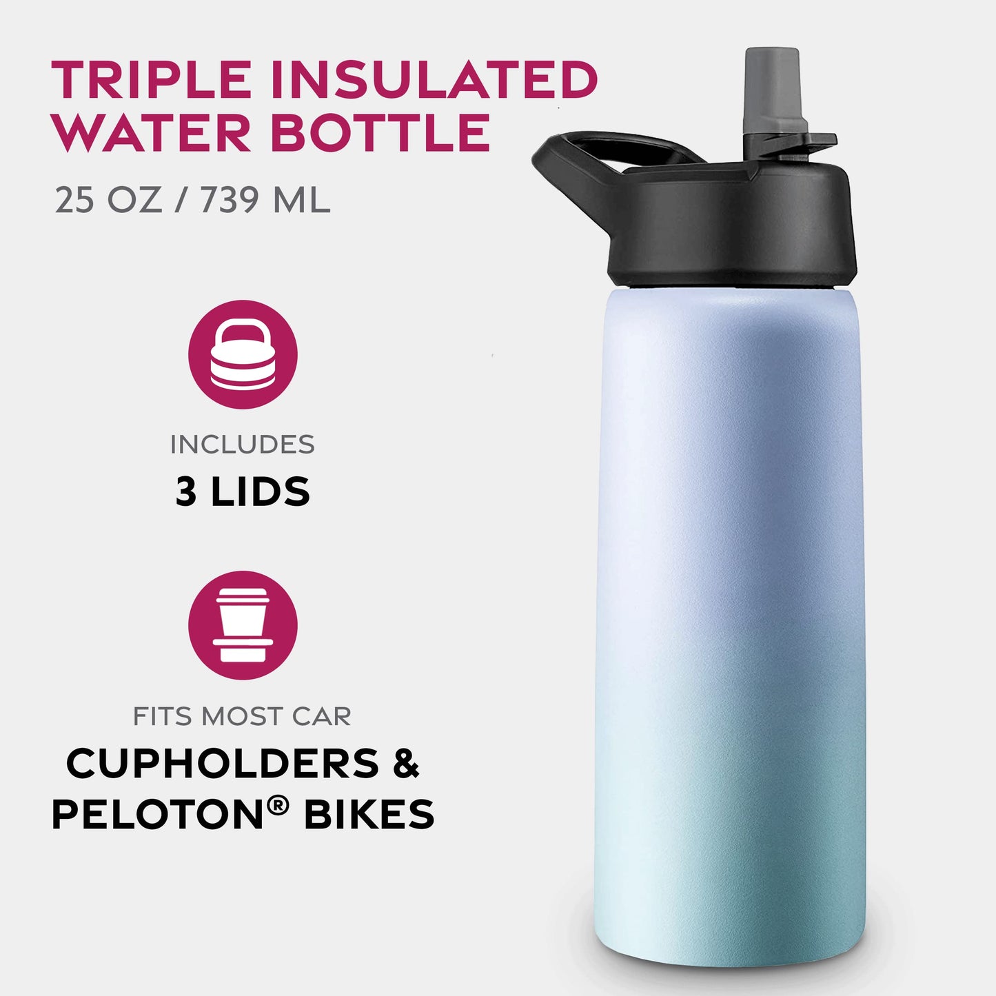 Insulated Sports Water Bottle with Straw