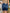 judy-blue-dark-bermuda-shorts