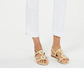 Charter Club Women's Tummy Control Pull On Pants White Size 18