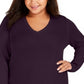 Charter Club Women's V Neck Sweater Purple Size 3X