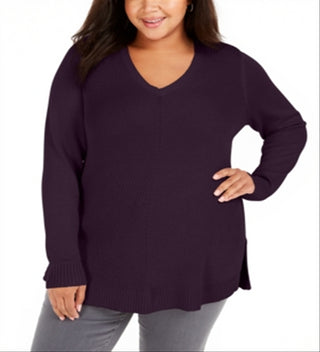 Charter Club Women's V Neck Sweater Purple Size 3X