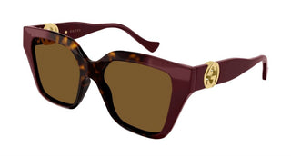 Gucci - Women's Square Injected Sunglass