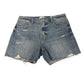 Pistola - The Kelly 90 Skater Short